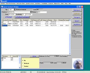 Contabilitate-Facturi de la furnizori