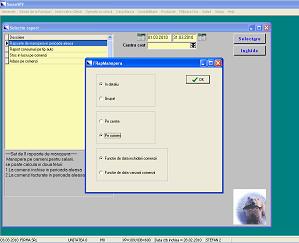 Service Auto - Rapoarte Service